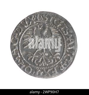 Litauischer Penny; Zygmunt II. August (polnischer König; 1544-1572); 1561 (1561-00-00-1561-00); Stockfoto