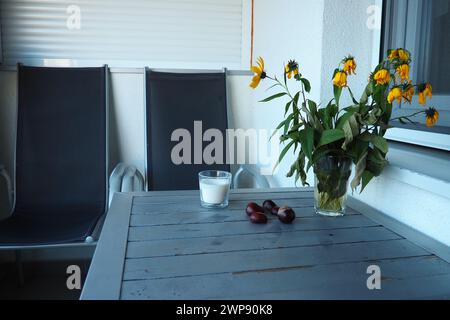 Pflanzen und Blumen der Jerusalemer Artischocke in einer Vase. Kastanienfrüchte auf dem Tisch. Tisch und Stühle auf Balkon oder Terrasse. Saisonende im Stockfoto