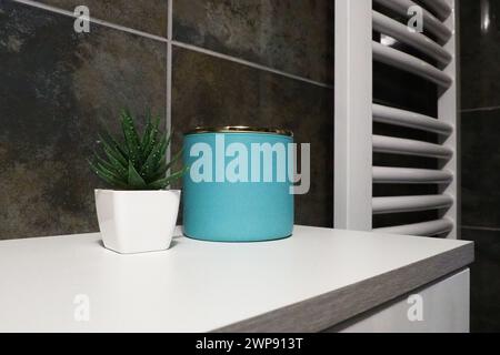 Dekorelemente im Badezimmer. Ein blaues Glas mit cremefarbenen und grünen Pflanzen in kleinen weißen Töpfen steht auf einem Regal des Schranks. Schwarze Wandfliesen. Bad und Toilette Stockfoto