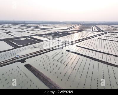 LIANYUNGANG, CHIAN - 6. MÄRZ 2024 - Bauarbeiter arbeiten auf der Baustelle des 940MWFischerei-Solar-Hybridprojekts Photovoltaik-Strom Stockfoto