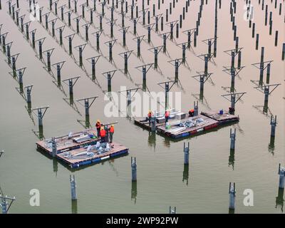 LIANYUNGANG, CHIAN - 6. MÄRZ 2024 - Bauarbeiter arbeiten auf der Baustelle des 940MWFischerei-Solar-Hybridprojekts Photovoltaik-Strom Stockfoto