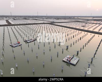 LIANYUNGANG, CHIAN - 6. MÄRZ 2024 - Bauarbeiter arbeiten auf der Baustelle des 940MWFischerei-Solar-Hybridprojekts Photovoltaik-Strom Stockfoto