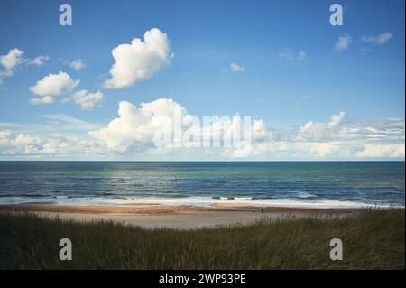 Küste an der Nordsee. Hochwertige Fotos Stockfoto