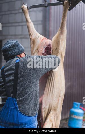 Vertikaler Schuss eines Metzgers, der ein hängendes Schwein im Schlachthof schneidet, mittlerer Schuss. Hochwertige Fotos Stockfoto