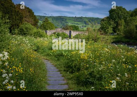 Pont Fawr, dreibogige Brücke über den Conwy River von Inigo Jones, Llanrwst, Wales Stockfoto