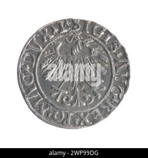 Litauischer Penny; Zygmunt II. August (polnischer König; 1544-1572); 1558 (1545-00-00-1545-00); Stockfoto