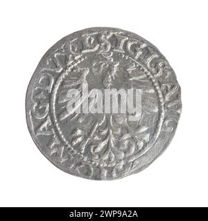 Litauischer Penny; Zygmunt II. August (polnischer König; 1544-1572); 1562 (1545-00-00-1545-00); Stockfoto