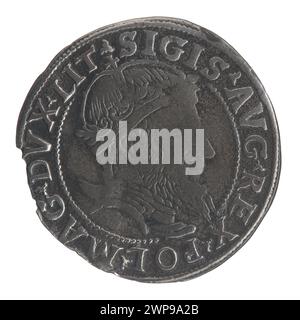 Litauischer Pfennig auf Halt Litauisch; Zygmunt II August (polnischer König; 1544-1572); 1555 (1545-00-00-1545-00-00); Stockfoto