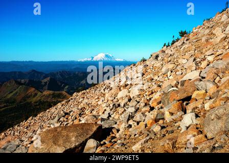 Carin baute entlang des Weges und des Ausblicks auf den Mt Adams in der Goat Rocks Wilderness Area, Washington Stockfoto