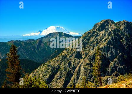 Carin baute entlang des Weges und des Ausblicks auf den Mt Adams in der Goat Rocks Wilderness Area, Washington Stockfoto