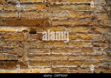 Antike Natursteinmauer. Behauene Steinziegel. Mauer eines alten Hauses in Herceg Novi, Montenegro, Adria und Mittelmeerregion. Sandstein-Muschelfelsen Stockfoto