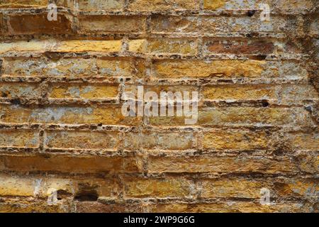 Antike Natursteinmauer. Behauene Steinziegel. Mauer eines alten Hauses in Herceg Novi, Montenegro, Adria und Mittelmeerregion. Sandstein-Muschelfelsen Stockfoto