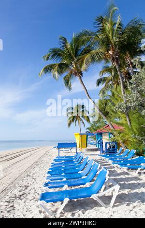 Der Morgenblick auf angelegte Palmen über dem noch leeren Touristenstrand auf Little Stirrup Cay (Bahamas). Stockfoto