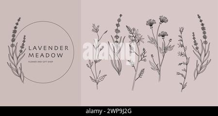 Handgezeichnete Blumen. Minimales Kräuterlogo, Blumenzweig oder Blattsymbol, rustikales Vintage-Grün. Botanisches Logodesign mit Lavendelwiese. Vektor elegante Umrisse abstrakte rustikale Dekoration Stock Vektor