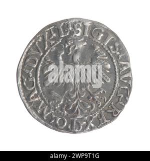 Litauischer Penny; Zygmunt II. August (polnischer König; 1544-1572); 1559 (1545-00-00-1545-00); Stockfoto