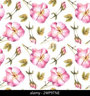 Nahtloses Blumenmuster mit rosa Wildrosen-Hüftzweig mit Knospen, Blumen und Blättern, Hund- oder brier-Rosenpflanzen-Motiv für Tapeten Stockfoto