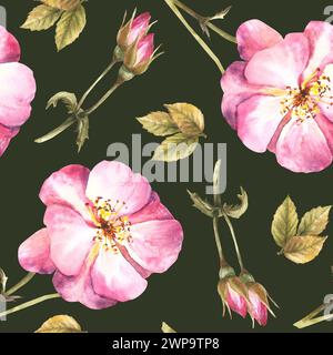 Nahtloses Blumenmuster mit rosa Wildrosen-Hüftzweig mit Knospen, Blumen und Blättern, Hund- oder brier-Rosenpflanzen-Motiv für Tapeten Stockfoto