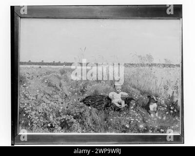 Bildfotografie: Józef Chełmoński (1849-1914), Pole Pea Field, 1891, Öl, Leinwand, im Besitz von J. Szmolke [Bild derzeit fehlt]; Unknown, Society of Motivation of Fine Arts (Warschau; 1860-1940); 1907 (1907-00-00-1907-00); Stockfoto