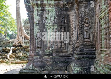 Ruinen des Tempelkomplexes Ta Prohm, in der Nähe des Angkor Wat Komplexes, Siem Reap, Kambodscha Stockfoto