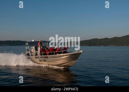 Touristen in einem Walbeobachterboot Gulf Islands Sidney, BC, Kanada Stockfoto