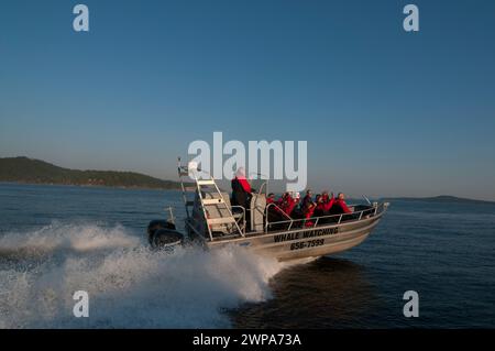 Touristen in einem Walbeobachterboot Gulf Islands Sidney, BC, Kanada Stockfoto