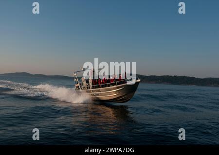 Touristen in einem Walbeobachterboot Gulf Islands Sidney, BC, Kanada Stockfoto