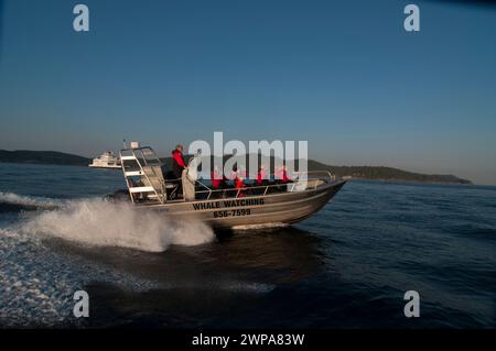 Touristen in einem Walbeobachterboot Gulf Islands Sidney, BC, Kanada Stockfoto