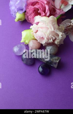 Schöne rosa Eustoma Blüten (Lisianthus) in voller Blüte mit Natursteinen Amethyst und Rosenquarz. Blumen und Halbedelsteine auf einem lila B Stockfoto