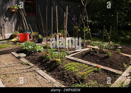 Bio-Holz gerahmte Blumen- und Gemüsegärten neben der alten Holzscheune im rustikalen Garten im späten Frühling. Stockfoto