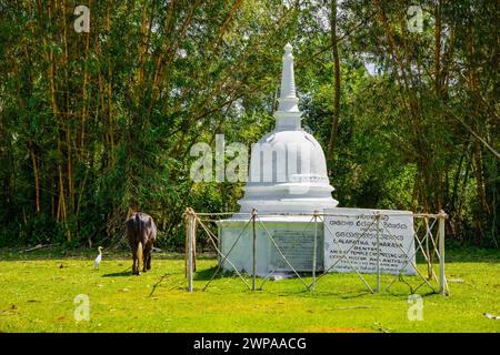 Kalutara, Sri Lanka 09 februar 2023kleine weiße traditionelle Sri-lankische Stupa steht auf grünem Gras vor einem Hintergrund von hohen Büschen und Bäumen Stockfoto