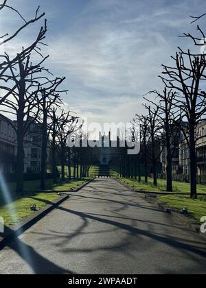Ein Sonnenlicht filtert durch Bäume entlang einer Stadtstraße mit Gebäuden im Hintergrund Stockfoto