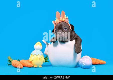 Niedlicher schwarzer französischer Bulldog-Hund Welpe mit Osterhasenohren, die in Eierschale auf blauem Hintergrund mit dekorativen Karotten und Küken sitzen Stockfoto