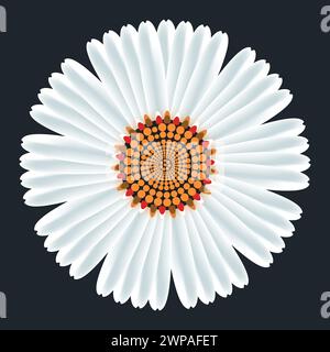 Weiße Blume, lizenzfreie Vektor-Illustration Stockfoto | Alamy Stock Vektor