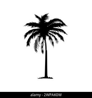 Palmensymbol. Schwarze Kokos-Silhouette Palme isoliert auf weißem Hintergrund. Kokospalme für Design-Sommerdrucke. Palmettobäume. Abstrakte Linie Stock Vektor
