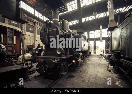 Alte Dampflokomotive kkStB 30 und andere Züge im Bahndepot. Die Luft im Bahnschuppen ist mit nebeligem Rauch gefüllt. Bild in warmen Brauntönen. Stockfoto