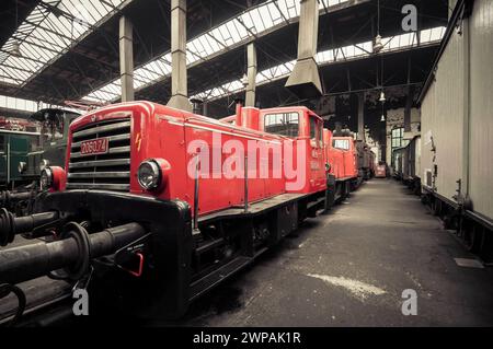 Alte Rangierlokomotive ÖBB 2060 und andere Züge im Bahnbetriebswerk. Altes Bahnbetriebswerk, dicht mit Lokomotiven und Triebwagen. Stockfoto