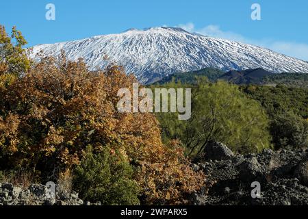 Verschneite Landschaft des Ätna mit herbstlichem Eichenlaub und endemischem immergrünem Besenstrauch (Genista Aetnesis) im Ätna Park, Sizilien, Italien Stockfoto