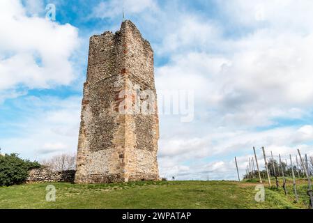 Turm der Burg (Torre delle castelle) in Gattinara, in der Provinz Vercelli, Piemont, Italien Stockfoto