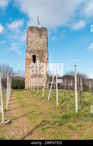 Turm der Burg (Torre delle castelle) in Gattinara, in der Provinz Vercelli, Piemont, Italien Stockfoto