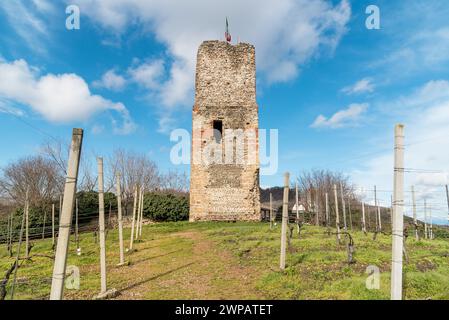 Turm der Burg (Torre delle castelle) in Gattinara, in der Provinz Vercelli, Piemont, Italien Stockfoto