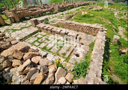 Öffentliche Toiletten in den Ruinen der römischen Stadt Cuicul in Algerien Stockfoto