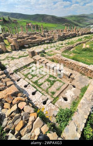 Öffentliche Toiletten in den Ruinen der römischen Stadt Cuicul in Algerien Stockfoto