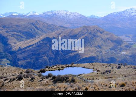 Ein herzförmiger See im Deer Park Queenstown, Neuseeland. Stockfoto