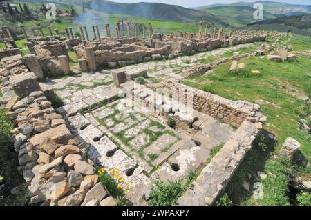 Öffentliche Toiletten in den Ruinen der römischen Stadt Cuicul in Algerien Stockfoto