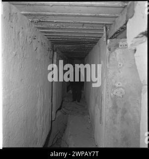 Das Gebiet von "Wolfsform", dem Leiter des Hauptquartiers Adolf Hitlers - dem dritten von einem der Bunker; von einer Fotoserie zu dem artikel von Miroszek Azembski "im Feld des" Mierci-Erntefeldes", "Wiatr" 1953, Nr. 49, S. 20; Pra 1953 (1953-00-00-1953-00-00); Stockfoto