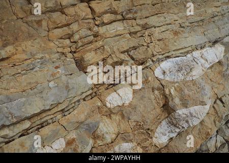 Flysch ist eine Reihe von Meeressedimentgesteinen, die vorwiegend klastischen Ursprungs sind und durch die alternierende Wirkung mehrerer Gesteine gekennzeichnet sind Stockfoto