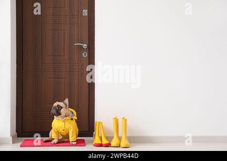 Süße französische Bulldogge mit Regenmantel in der Nähe der Tür im Flur Stockfoto