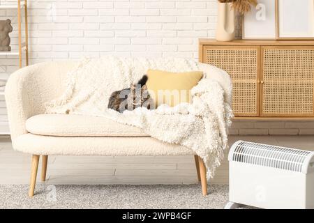 Niedliche Katze mit warmer Decke, die auf dem Sofa in der Nähe der elektrischen Heizung zu Hause sitzt Stockfoto