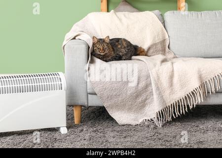 Niedliche Katze mit warmer Decke, die auf dem Sofa in der Nähe der elektrischen Heizung zu Hause sitzt Stockfoto