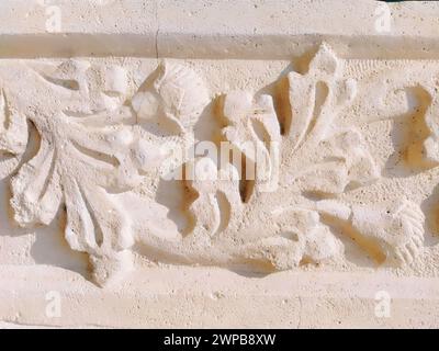 Ziergegenstände, skulpturelle Zeichnung strukturierter Pflanzenelemente. Dekoration der Wand mit Stuck in Dubrovnik, Kroatien. Ein Stück Shamrocks. Acanthus ist eine Stockfoto